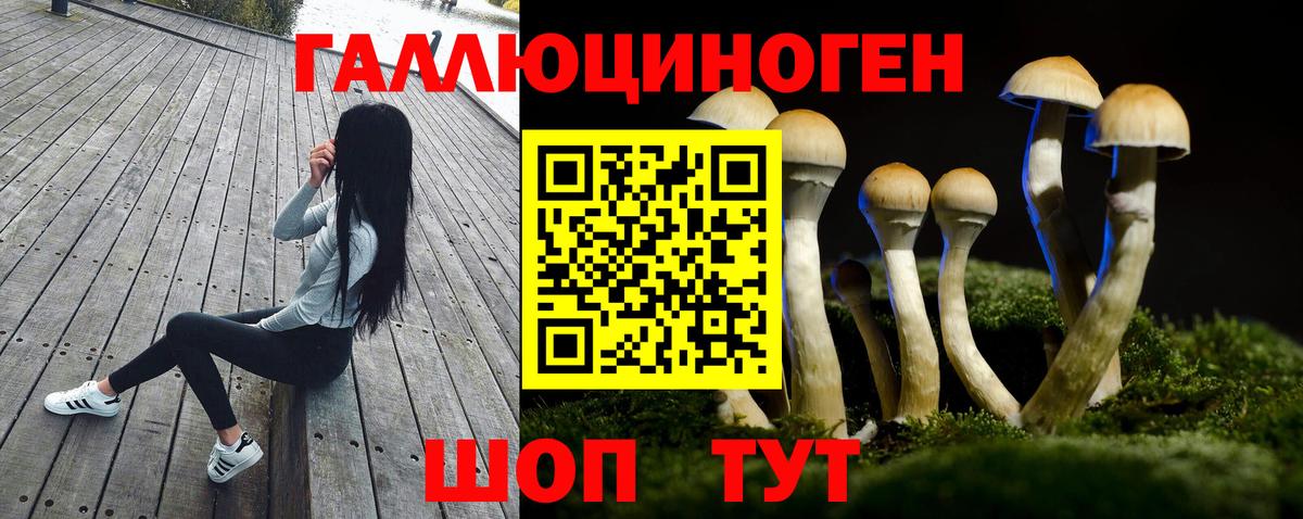 Дедовск  Псилоцибиновые грибы мухоморы  Вход с VPN 