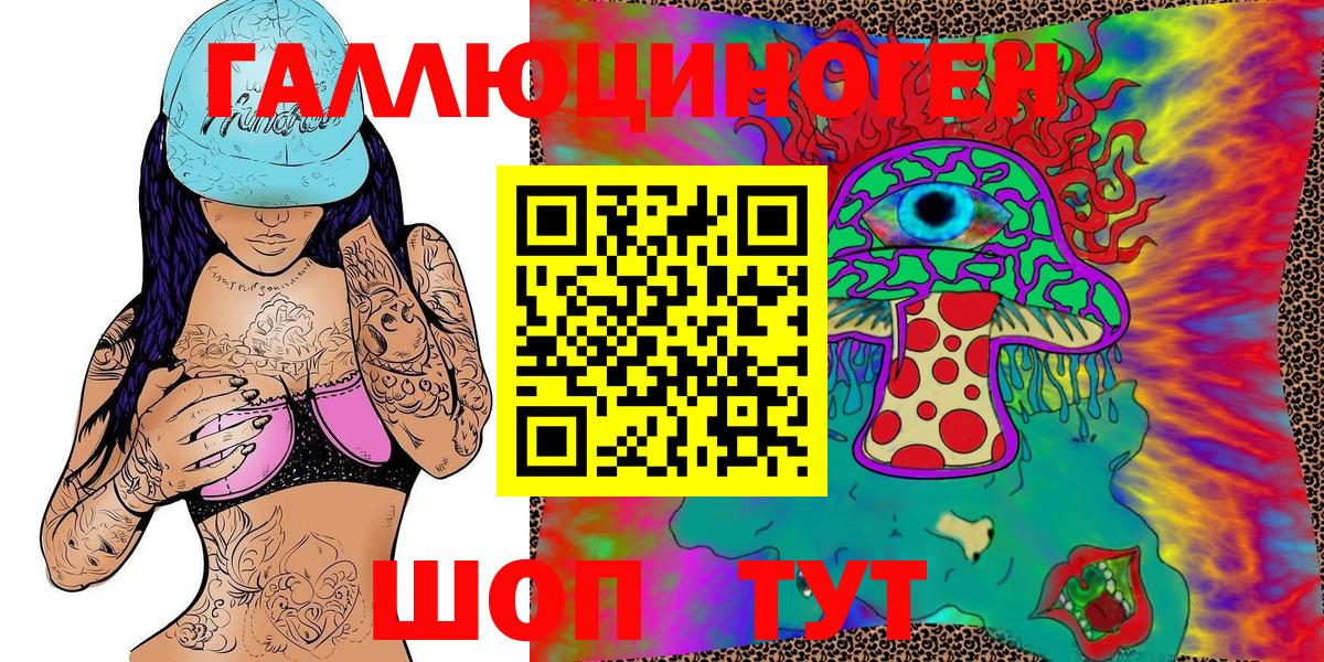 Псилоцибиновые грибы Cubensis Дедовск